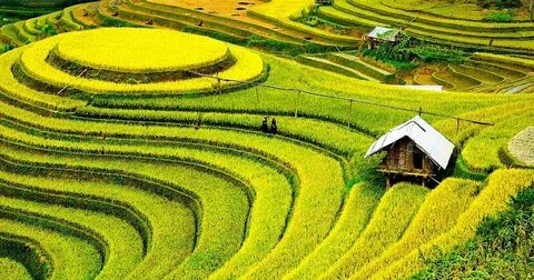 Phấn khích nhìn thấy hồ bơi khách sạn, cậu bé lao qua cửa kính, bị thương nặng